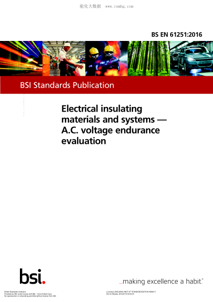 BS EN 61251-2016 電氣絕緣材料與系統 交流電壓耐久性評定 Electrical insulating materials and systems. A.C. voltage endurance evaluation