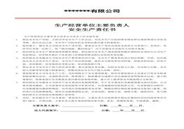 安全崗位責任書(shū)及任命書(shū)doc