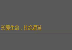 飲酒健康與酒駕危害培訓ppt
