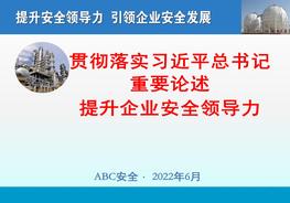 貫徹落實(shí)重要論述提升企業(yè)安全領(lǐng)導力pptx